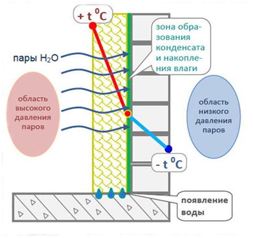 Как избежать конденсата на стенах?